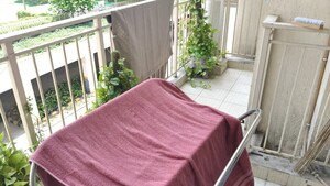  3 BHK Apartment at Emaar Gurgaon Greens, Sector 102 – for Sale