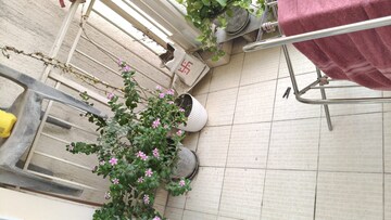  3 BHK Apartment at Emaar Gurgaon Greens, Sector 102 – for Sale