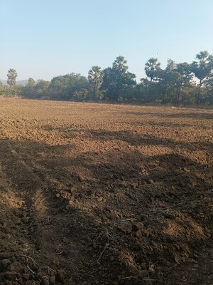 Plot Area in  Plot at Umroli – for Sale