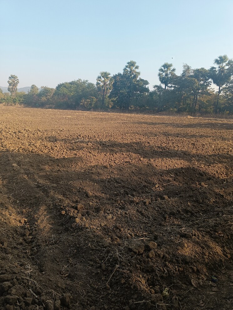 undefined, umroli  45 Acre Plot In Umroli Palghar 8920291