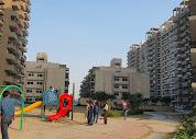 1 BHK Apartment For Rent in Signature Global Grand Iva