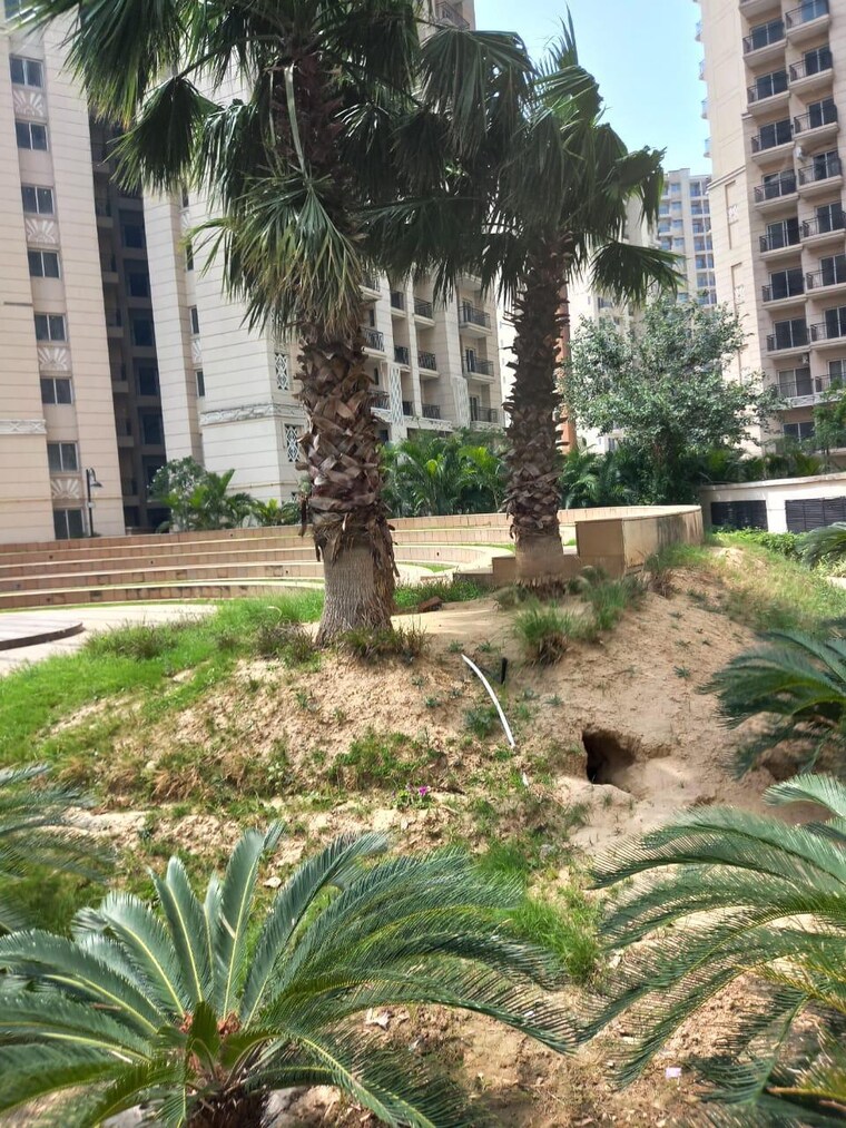 Garden, ats-allure 2.5 Bedroom 1350 Sq.Ft. Apartment In Sector 22d Yamuna Expressway Greater Noida 8920473