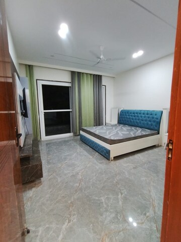 Living Room in 2 BHK Builder Floor at Ardee City, Indira Colony 2 – for Rent