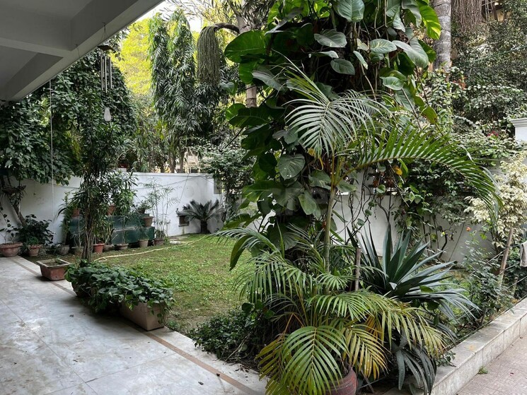 Garden, baani-square 2.5 Bedroom 2000 Sq.Ft. Builder Floor In Sector 50 Gurgaon 8921049