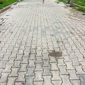 2.5 BHK Independent House – Exterior View View at Aerocity - for Sale