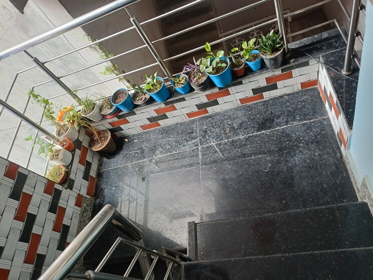 undefined, mayur vihar phase 1 extension 2.5 Bedroom 1050 Sq.Ft. Builder Floor In Mayur Vihar Phase 1 Extension Delhi 8921074