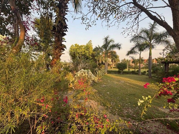Garden, zestha-bhagirath-vihar-residency  144 Sq.Yd. Plot In Sector 27 Yamuna Expressway Greater Noida 8921209