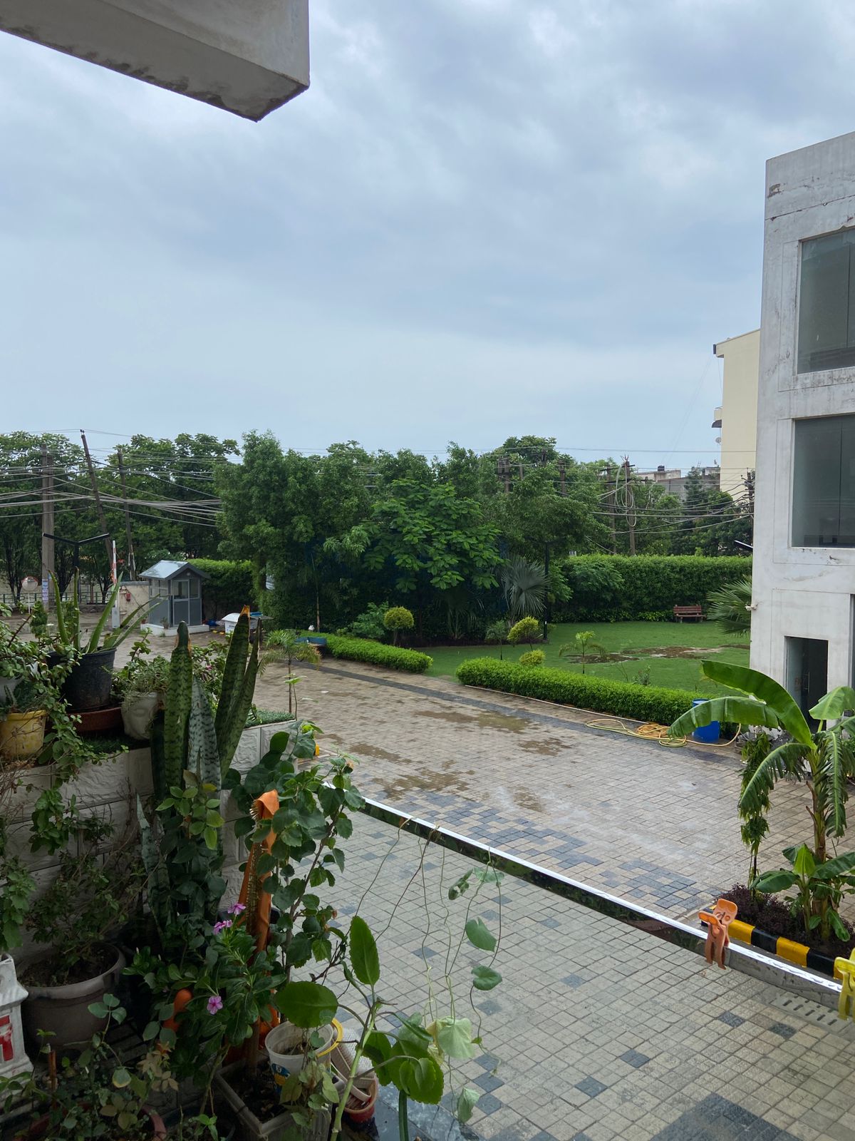 3 BHK Builder Floor For Rent in Fio Home2 