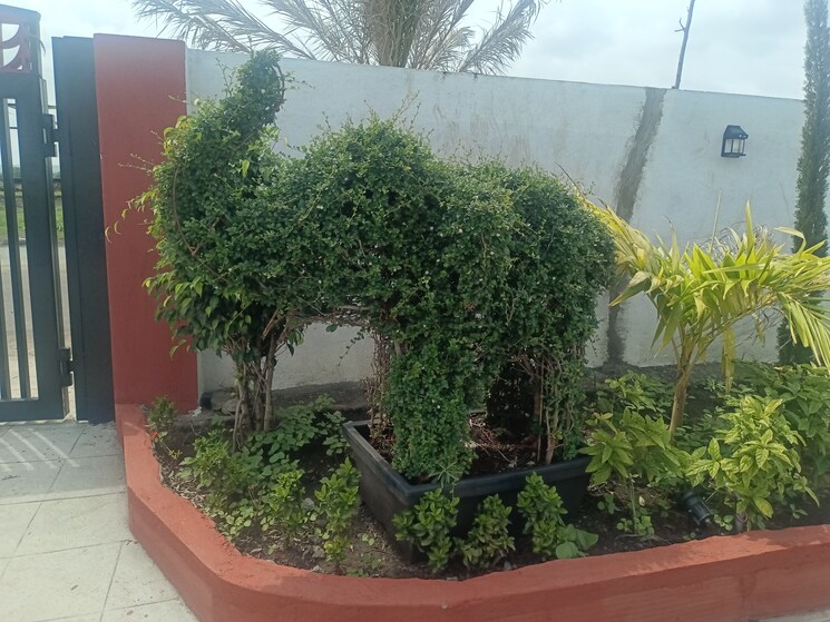 Garden, chevalla  200 Sq.Yd. Plot In Chevalla Hyderabad 8921303