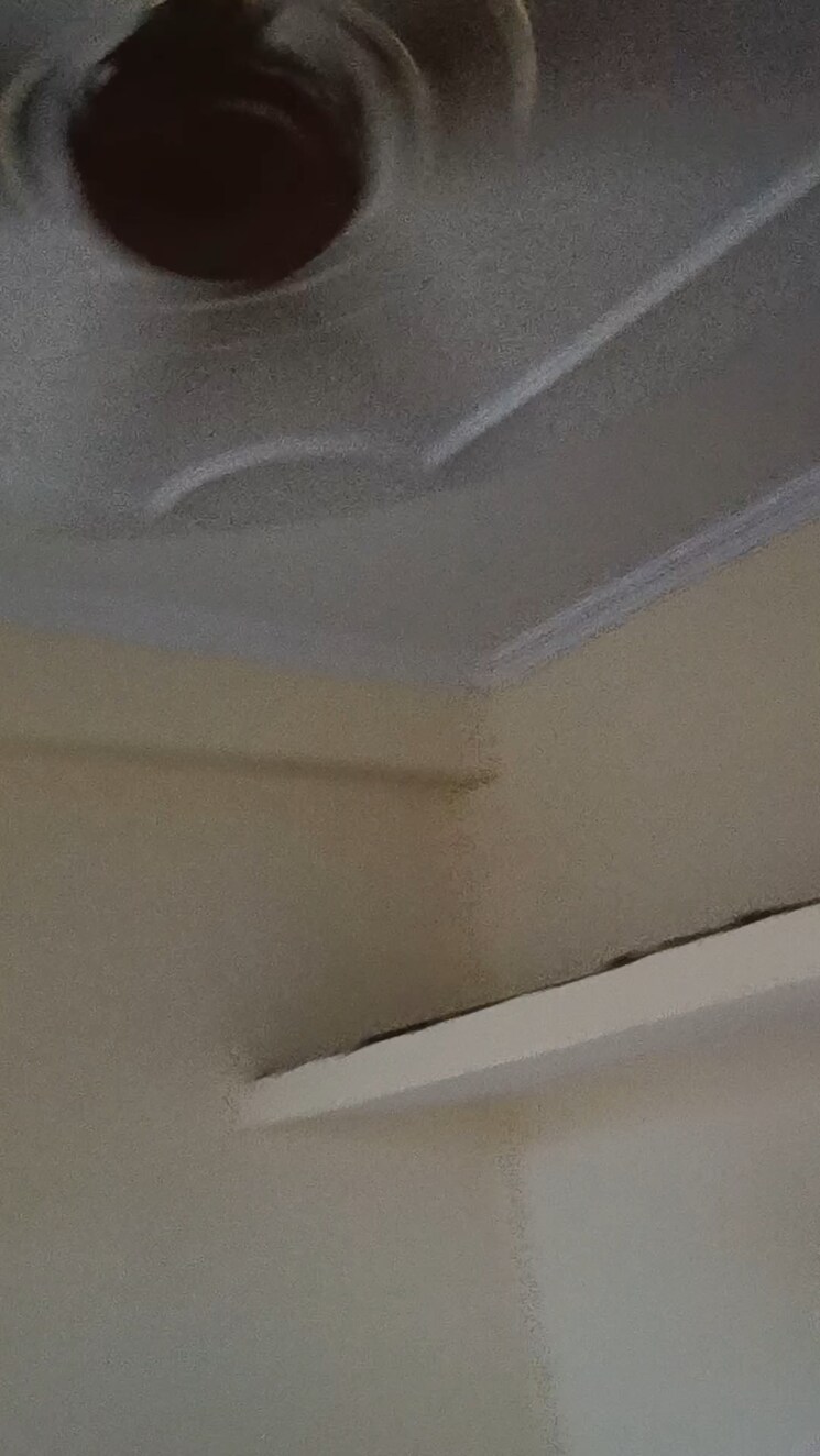 undefined, dilshad colony 1.5 Bedroom 500 Sq.Ft. Builder Floor In Dilshad Colony Delhi 8921329