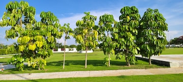  Plot – Exterior View View at Chevalla - for Sale