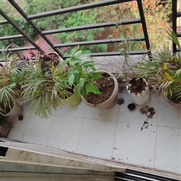 Balcony in 1 BHK Apartment at Mayfair Vishwaraja, Titwala – for Sale