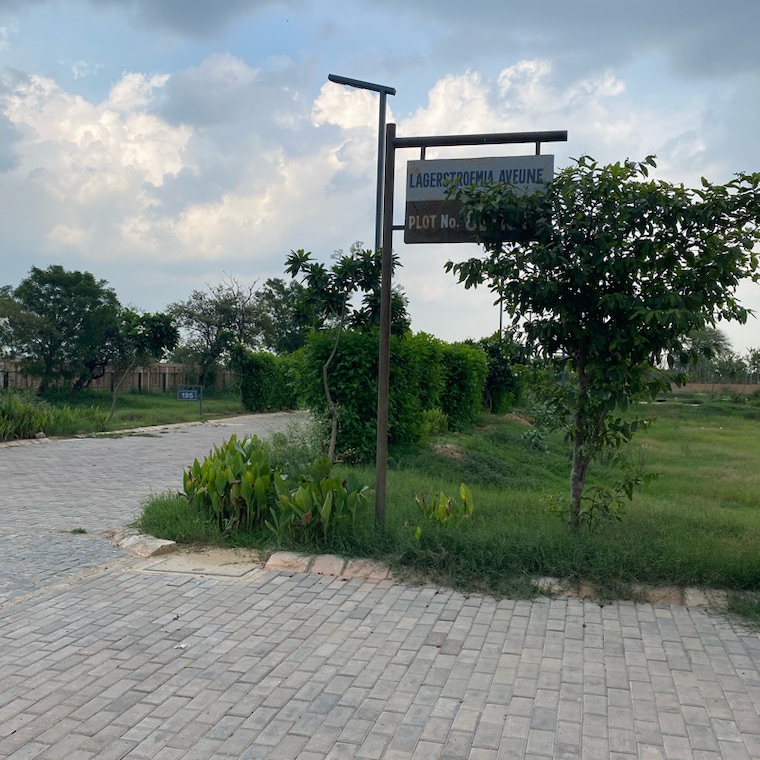 Garden, adore-smart-city  127 Sq.Yd. Plot In Sector 97 Faridabad 8921550