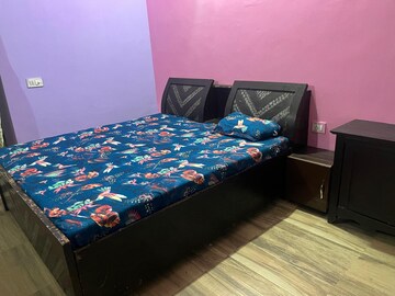 1 BHK Apartment For Rent in Paramount Golfforeste, Zeta I Greater Noida