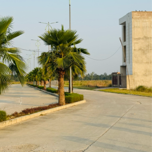  Plot – Exterior View View at Sultanpur Road - for Sale