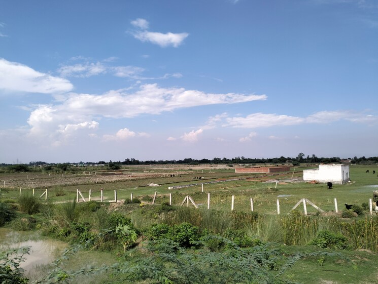 undefined, sultanpur road  1000 Sq.Yd. Plot In Sultanpur Road Lucknow 8921932