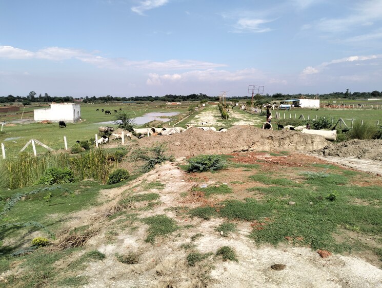 undefined, sultanpur road  1000 Sq.Yd. Plot In Sultanpur Road Lucknow 8921932