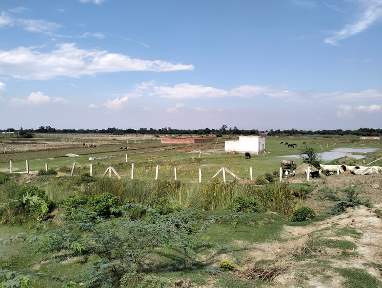 undefined, sultanpur road  1000 Sq.Yd. Plot In Sultanpur Road Lucknow 8921932