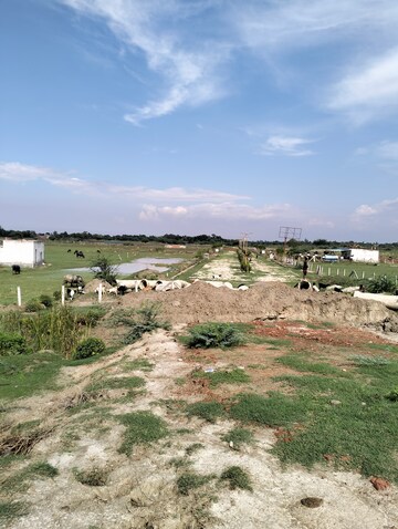 Plot Area in  Plot at Sultanpur Road – for Sale