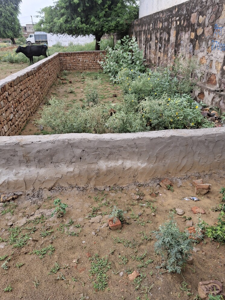 undefined, bhondsi  50 Sq.Yd. Plot In Bhondsi Gurgaon 8921985