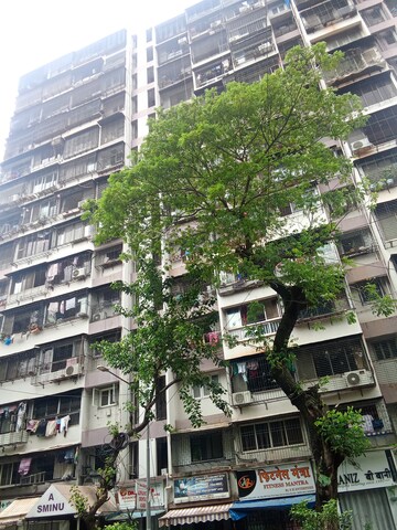 2 BHK Apartment For Rent in Sminu Towers, Borivali West