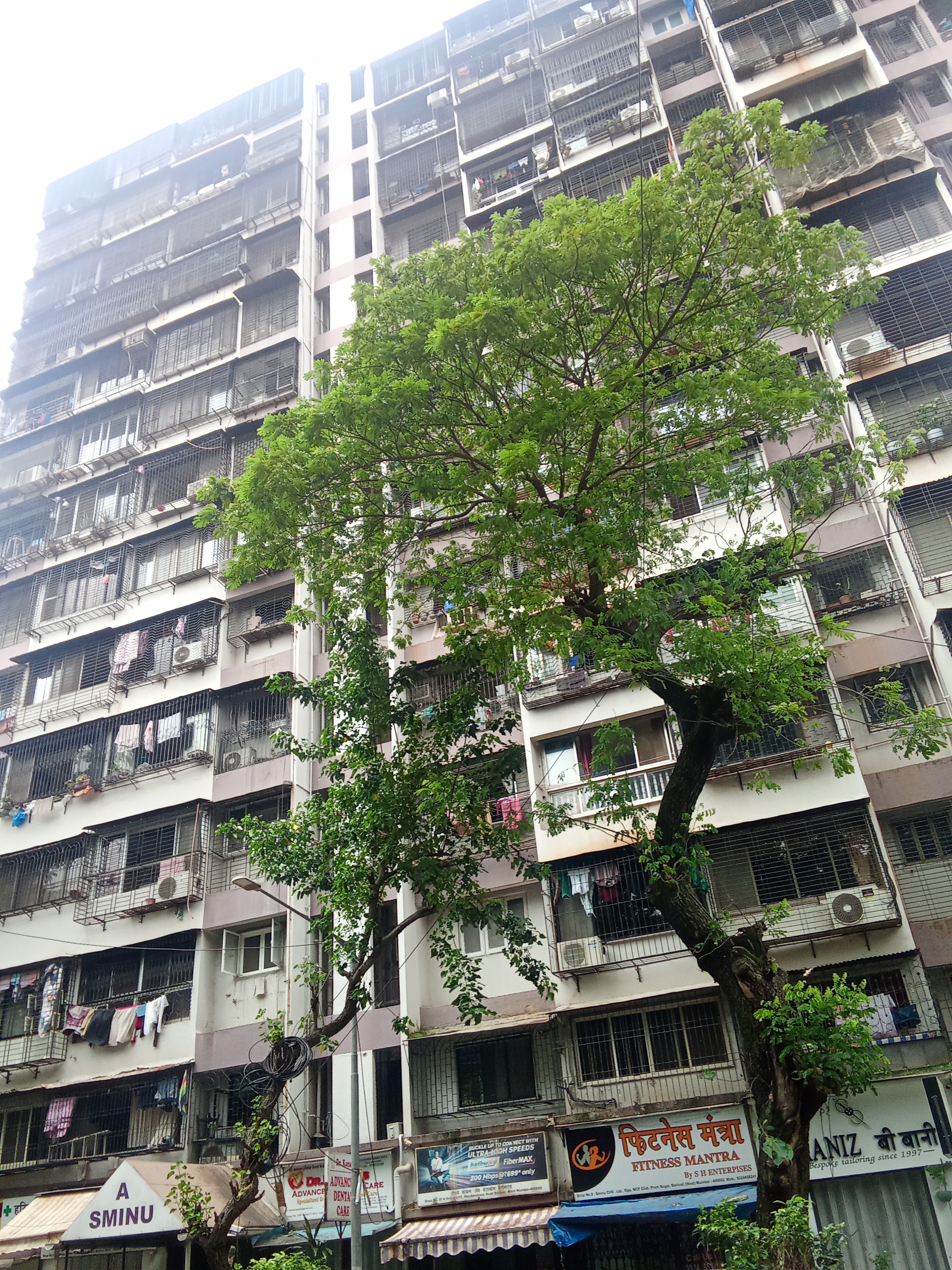 1 BHK Apartment For Rent in Sminu Towers