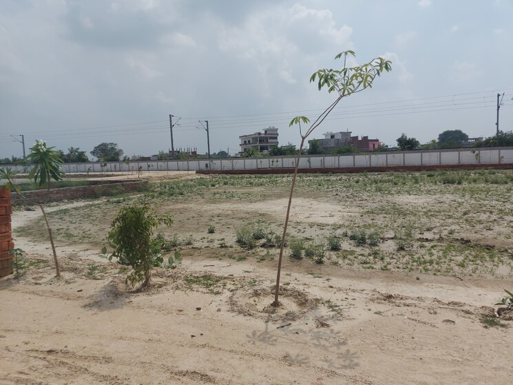 undefined, raebareli road  1550 Sq.Ft. Plot In Raebareli Road Lucknow 8922408