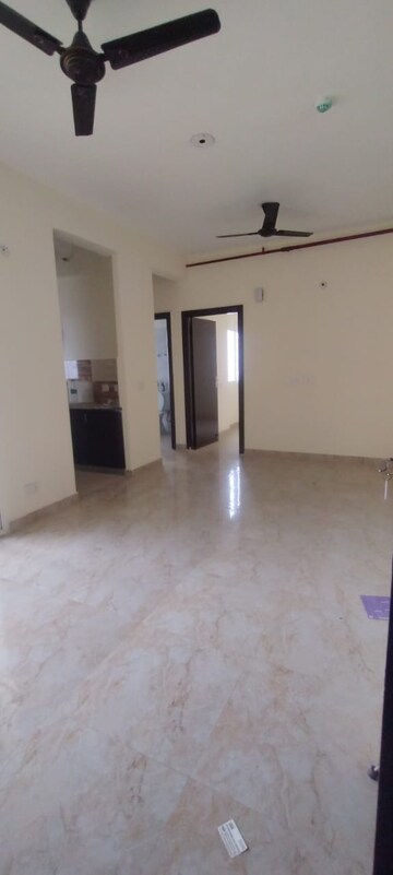2 BHK Apartment For Rent in Amrapali Enchante, Tech Zone 4 Greater Noida