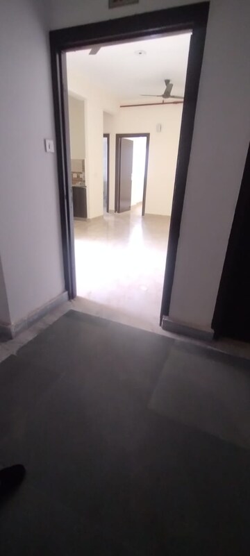 Room in 2 BHK Apartment at Amrapali Enchante, Tech Zone 4 Greater Noida – for Rent