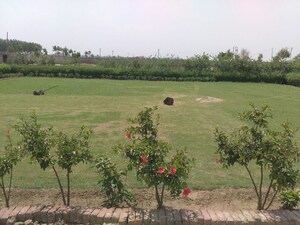 Plot Area in  Plot at Sector 148 – for Sale