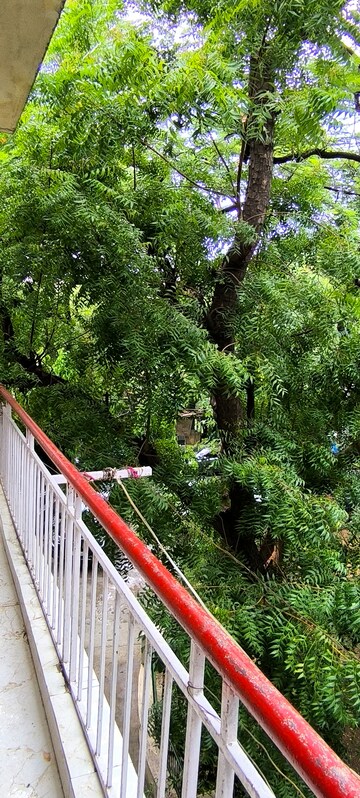 3 BHK Apartment – Exterior View View at Vasant Kunj - for Rent