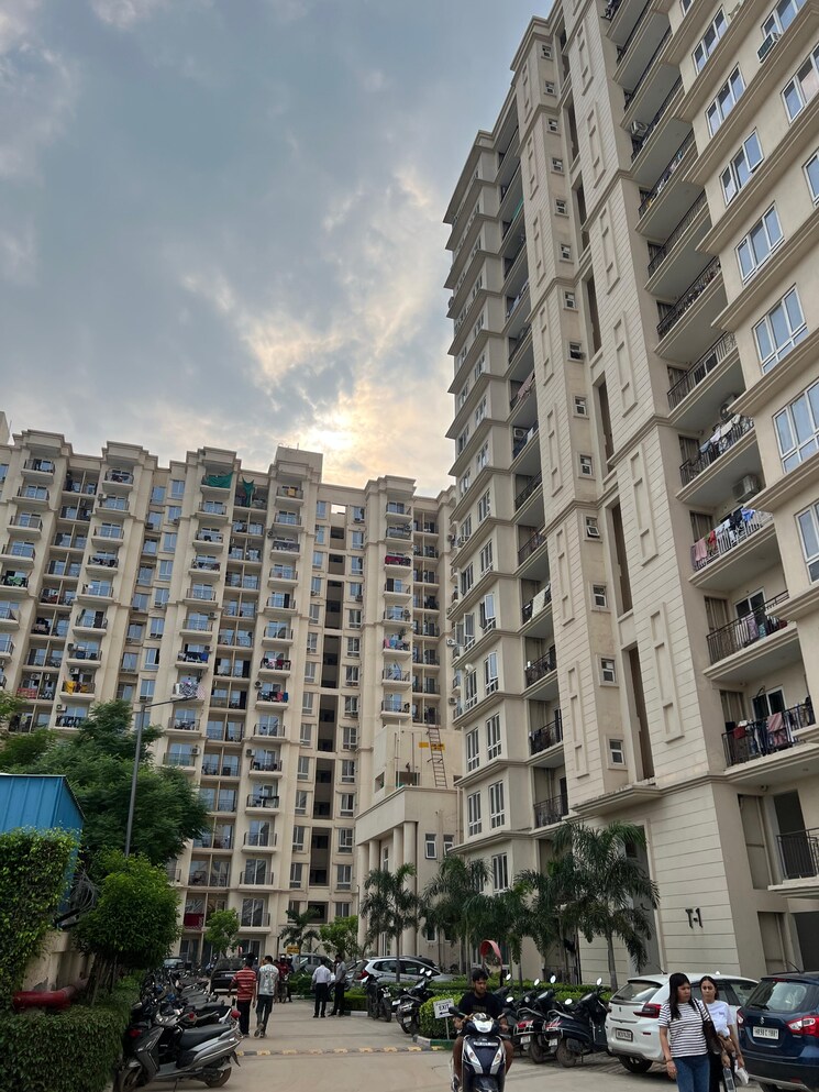 Exterior View, signature-global-the-millennia 2 Bedroom 644 Sq.Ft. Apartment In Sector 37d Gurgaon 8922948