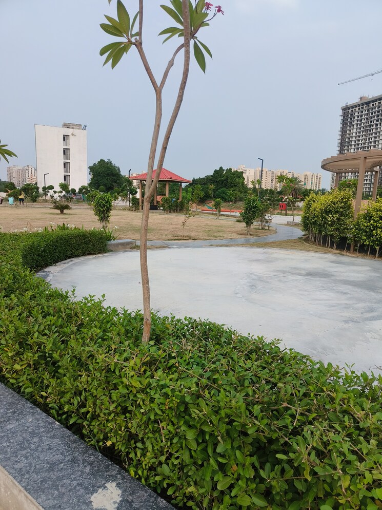 Garden, jms-the-nation  160 Sq.Yd. Plot In Sector 95 Gurgaon 8923073