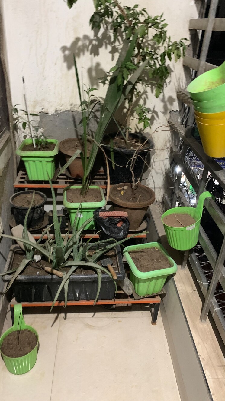 Balcony, jogabai extension 3 Bedroom 95 Sq.Yd. Apartment In Jogabai Extension Delhi 8923179