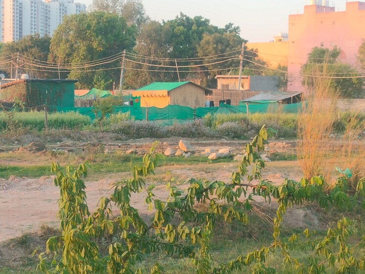 Garden, commonwealth games village  200 Sq.Yd. Plot In Commonwealth Games Village Delhi 8923289