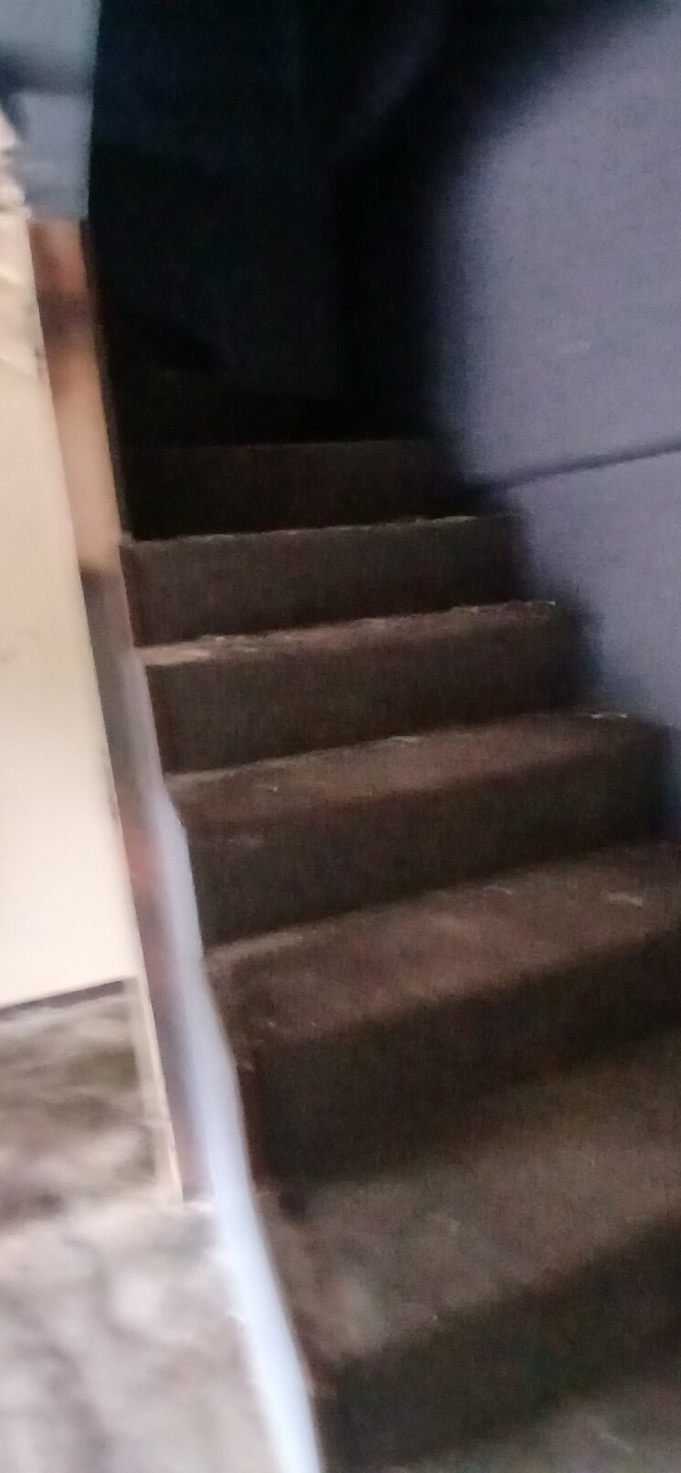 undefined, satyam-shivam-sundaram-chs-sion Commercial Shop 200 Sq.Ft. In Sion Mumbai 8923381