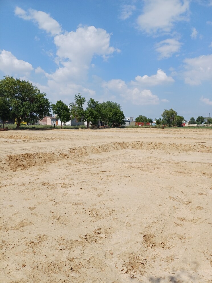 Garden, bhopani  87 Sq.Yd. Plot In Bhopani Faridabad 8923413