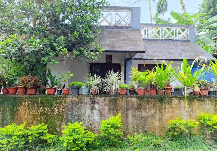 Exterior View, aluva 2 Bedroom 866 Sq.Ft. Independent House In Aluva Kochi 7964096