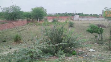  Plot For Rent in Gomti Nagar
