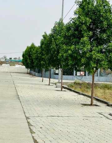 Plot Area in  Plot at Wardha rd – for Sale