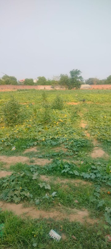 Land – Exterior View View at Sector 27 - for Sale