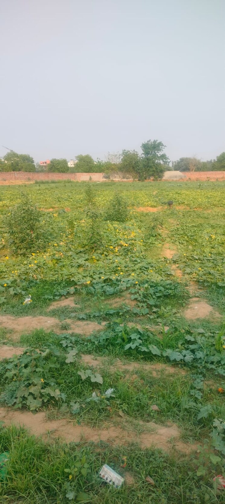 Exterior View, sector 27 Commercial Land 21 Acre In Sector 27 Sonipat 8923875