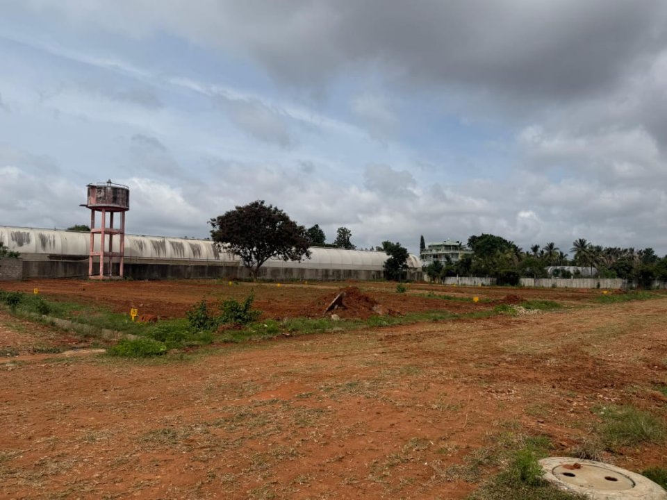 Plot For Sale in Sun Rise Garden 