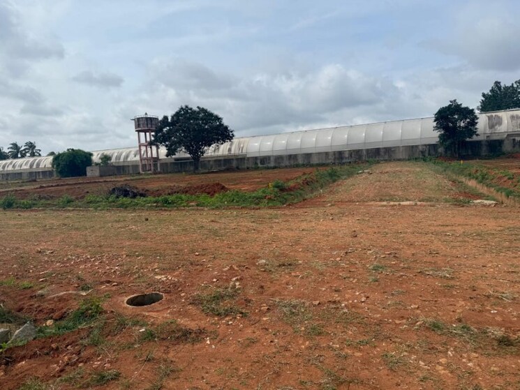 undefined, devanahalli  1500 Sq.Ft. Plot In Devanahalli Bangalore 8923856