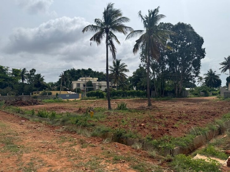 undefined, devanahalli  1500 Sq.Ft. Plot In Devanahalli Bangalore 8923856