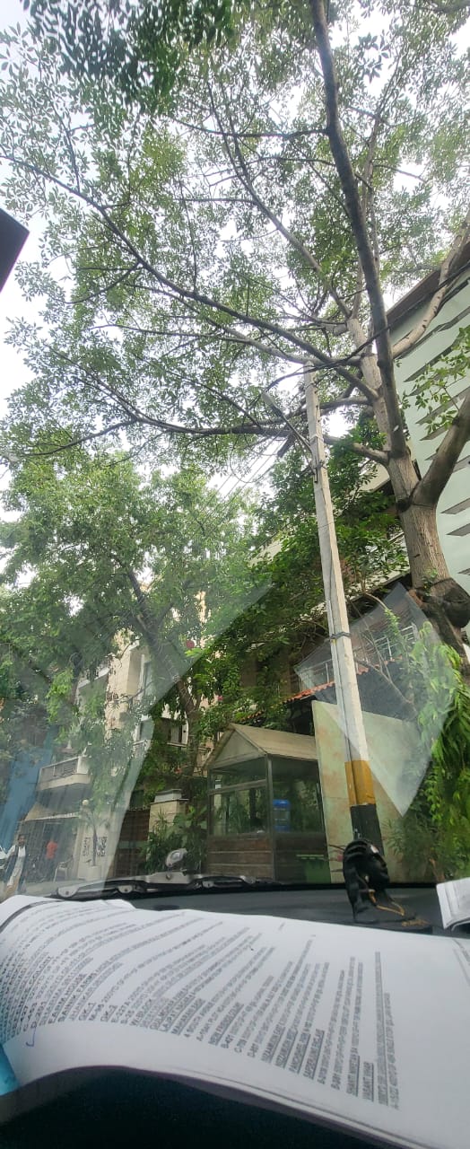 2 BHK Builder Floor For Rent in Sector 33 