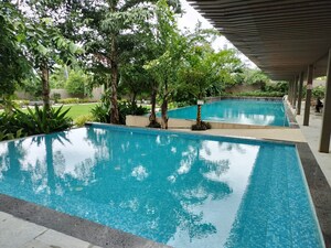 Swimming Pool in 2 BHK Apartment at Godrej City Panvel Phase 1, Poyanje – for Rent