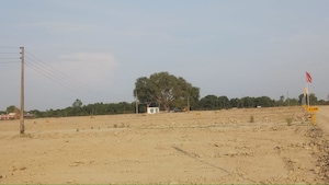 Plot Area in  Plot at Mohanlalganj – for Sale