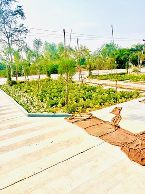  Plot – Exterior View View at Mohanlalganj - for Sale