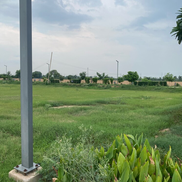 Garden, adore-smart-city  128 Sq.Yd. Plot In Sector 97 Faridabad 8924103